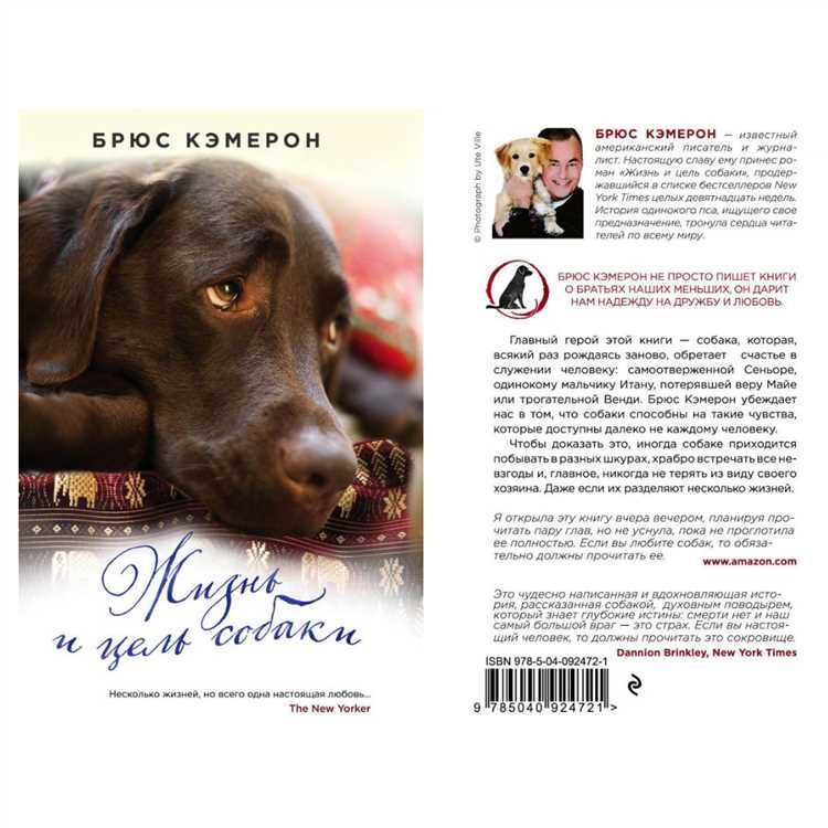 Сбер сделал нейросеть-литератора – и она сочинила для нас рассказ про собаку